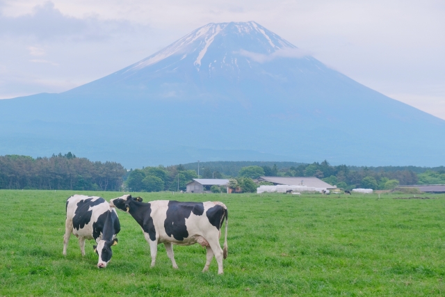 新年のご挨拶